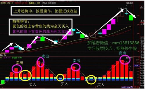 男子炒股11年赚6000万：不建议模仿